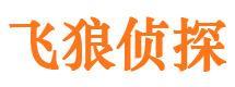 屏山飞狼私家侦探公司